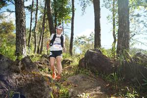 BIB: 442
                            <button type="button" onclick="openModal(18916181)" class="btn btn-primary btn-sm float-right btn-popup" data-toggle="modal" data-target=".modal-high-quality">
                        <i class="fas fa-shopping-cart"></i> Add to Cart
                    </button>
                                            <button type="button" onclick="isThisMe(18916181, true)" class="btn btn-success btn-sm float-right btn-popup btn-isme hidden" data-toggle="tooltip" data-placement="bottom" title="นี่คือรูปของคุณใช่ไหม คลิกที่นี่เพื่อเอาเข้าอัลบั้ม">
                        <i class="fas fa-plus"></i> Add to album
                    </button>
                    <button type="button" onclick="isThisMe(18916181, false)" class="btn btn-warning btn-sm float-right btn-popup btn-isnotme hidden">
                        <i class="fas fa-ban"></i> Remove from album
                    </button>